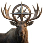 Moose logo-Realistic