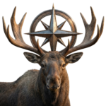 Moose logo-Realistic